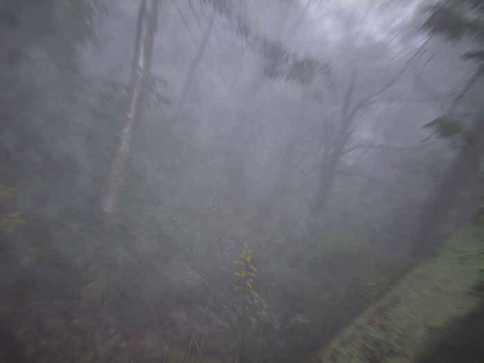 Pshot28.jpg (26 KB)