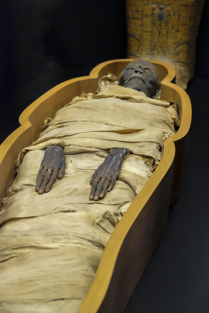 A mummy