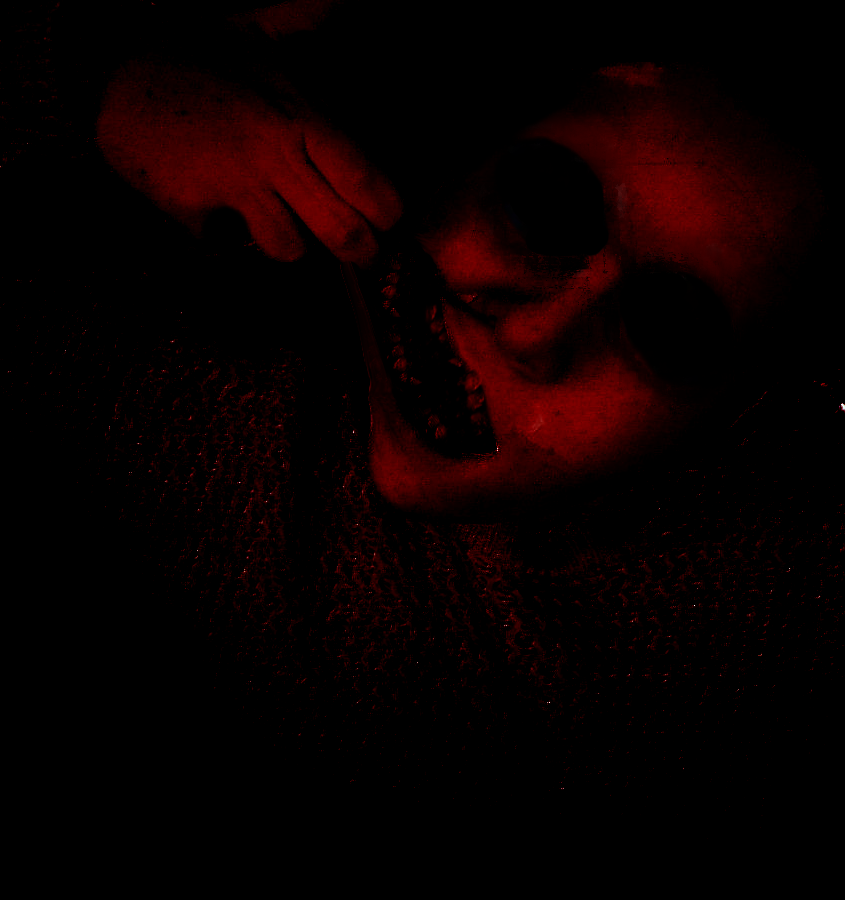 Teeth