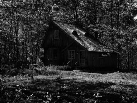 Cabin-in-the-woods