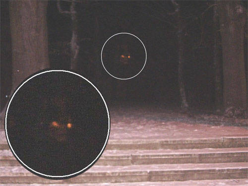 Goatmancircled