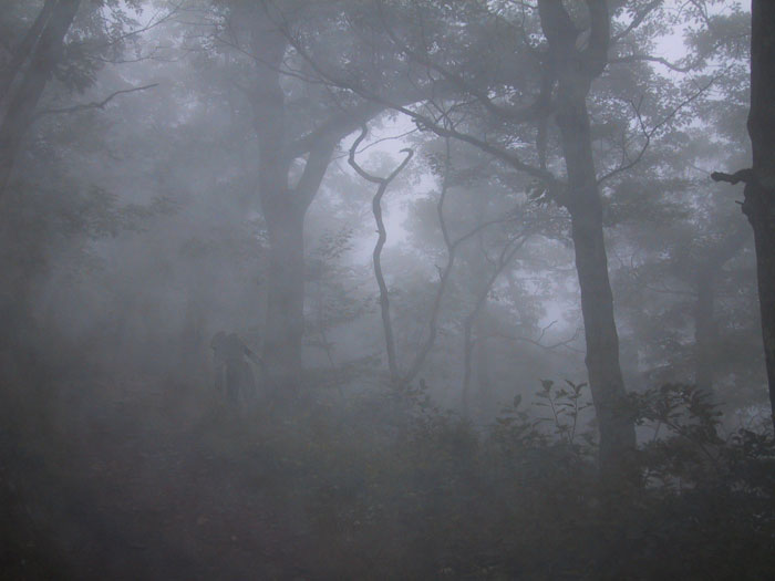 Pshot18.jpg (43 KB)
