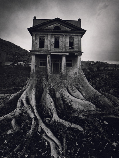 Ju tree house