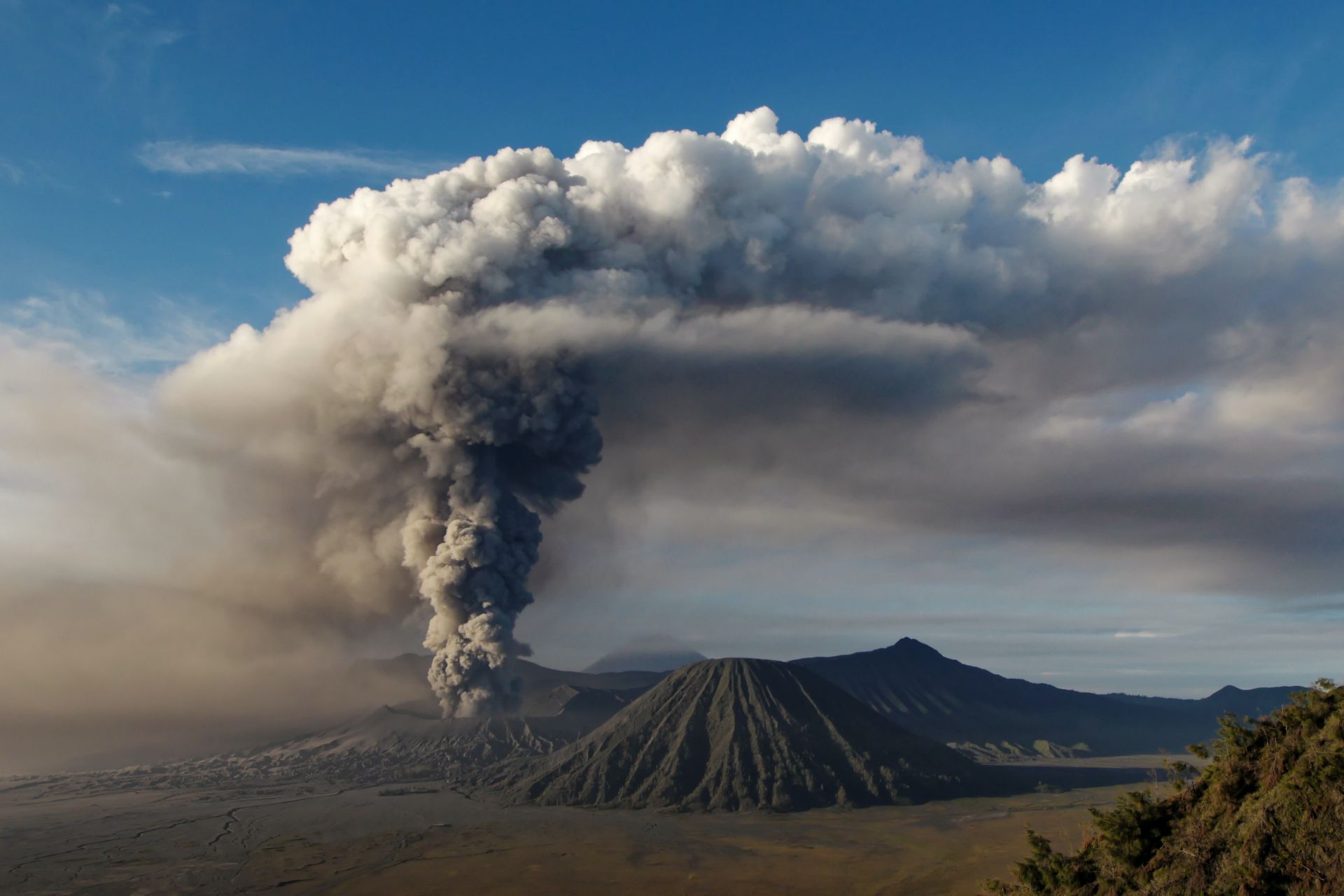 Volcanicwinter