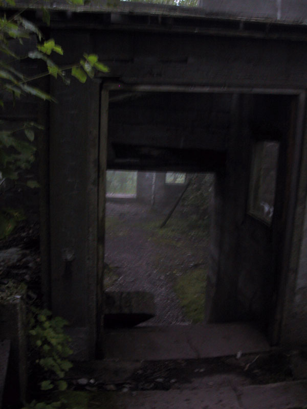 Pshot15.jpg (49 KB)