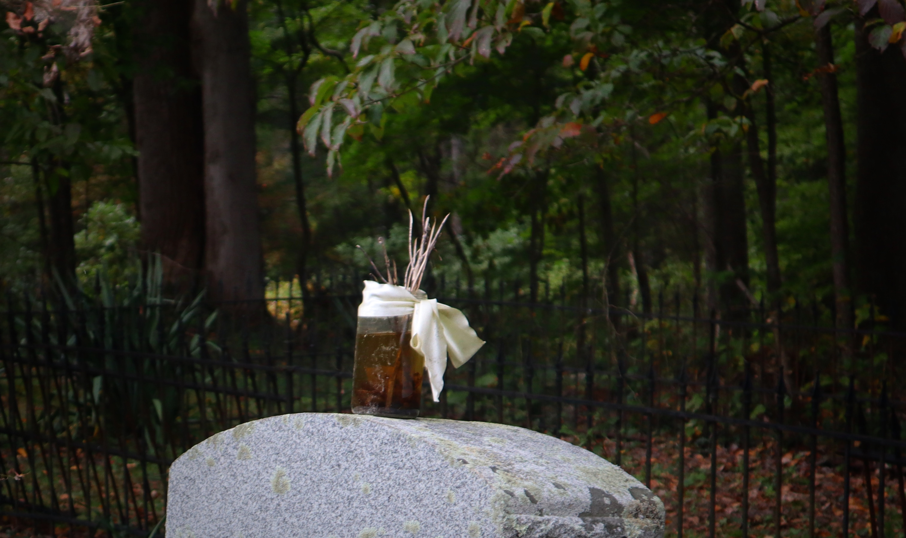 Tending To The Graveyard by Never You Mind Who