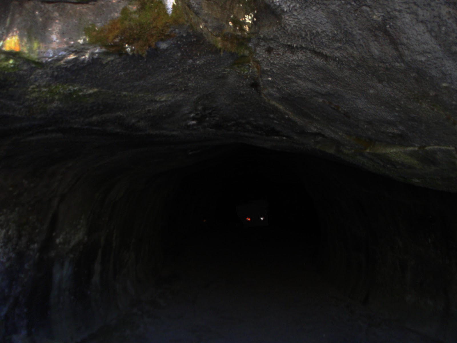 Cavechild