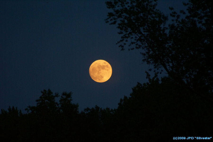I used to love this sight on Halloween Night. Ah, the memories.
