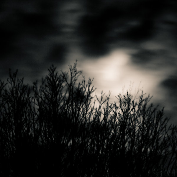 These haunted forests talk by Dynnnad