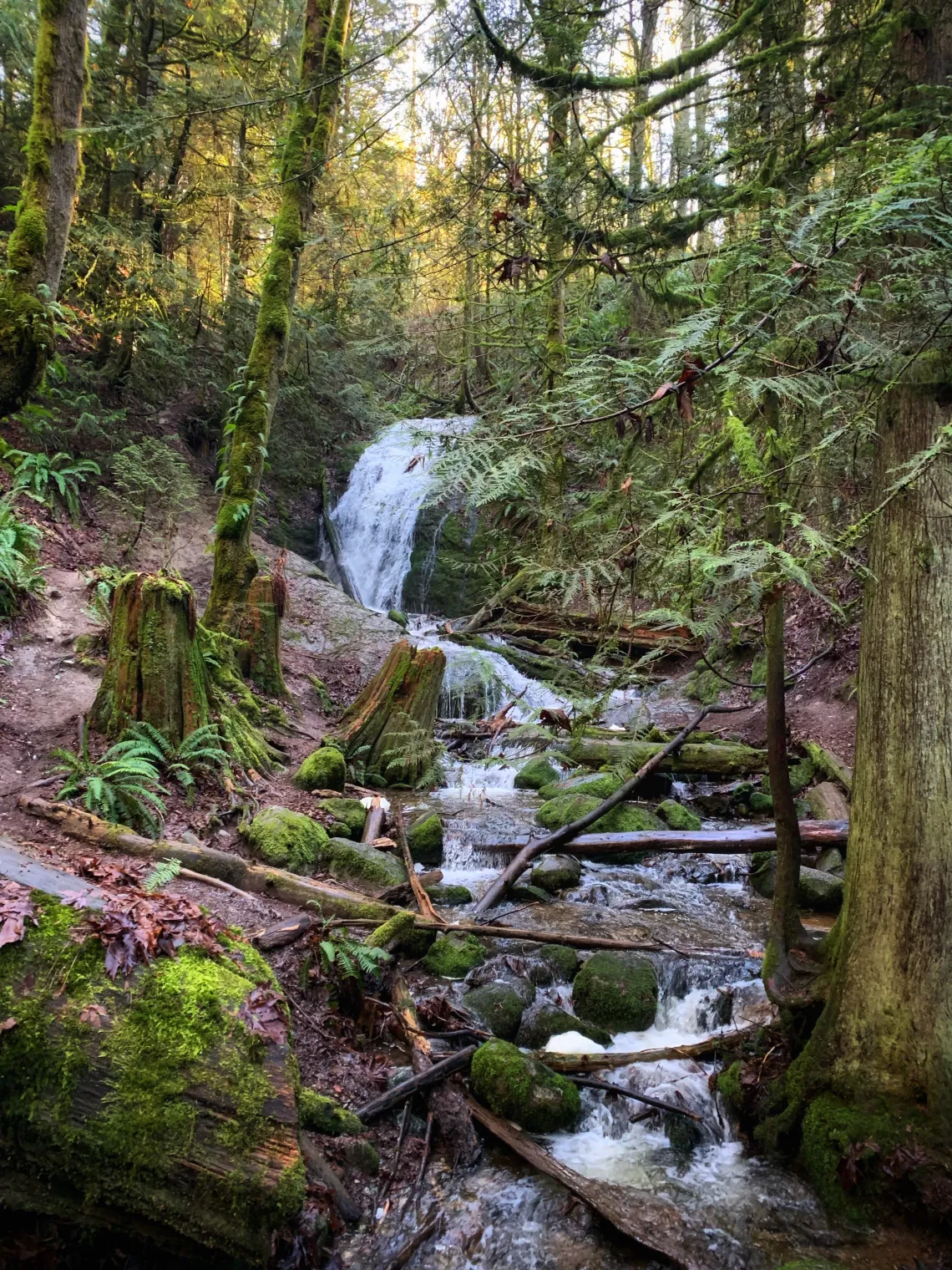 There's actually some really scenic trails to go down if that's your kind of thing