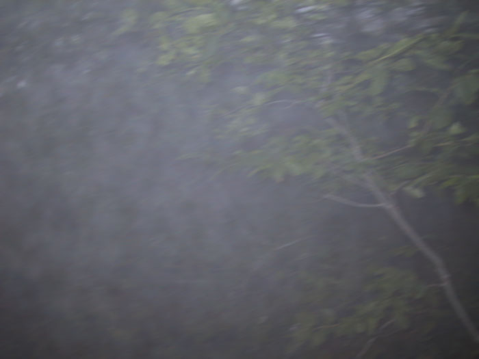 Pshot29.jpg (23 KB)