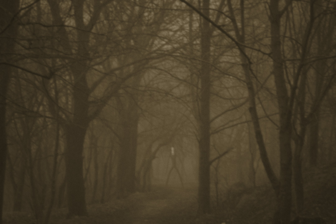 Slender man (6).jpg