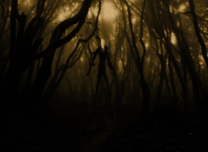 Slender man (5).jpg