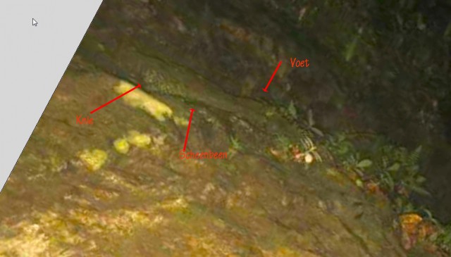 8226073.jpg