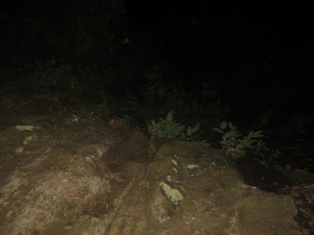 8226041.jpg