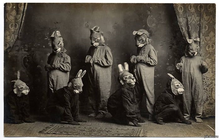 Rabbits (2).jpg