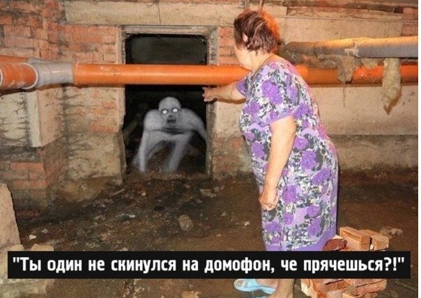 Tvar v podvale.jpg