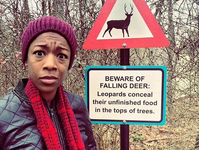 Beware of falling deer original.jpg