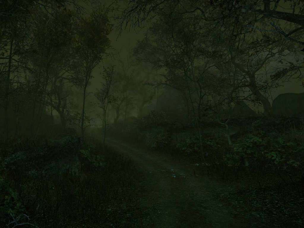 TheCursedForest4.jpg