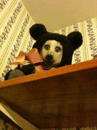 Dogbear.jpg