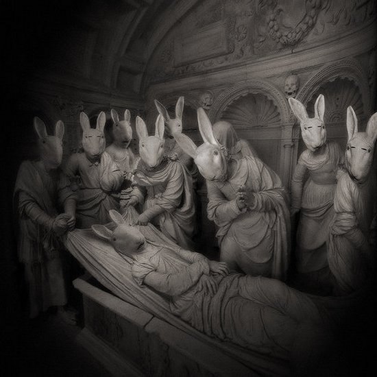Rabbits (1).jpg