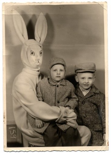 Rabbitphoto (3).jpg