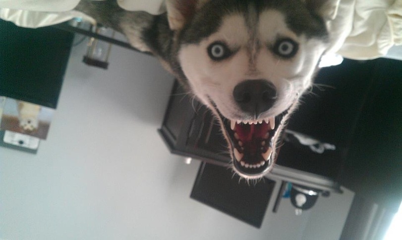 Smile.jpg