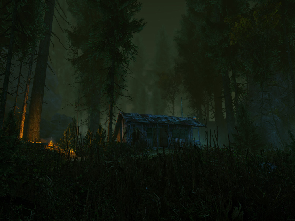 TheCursedForest1.jpg