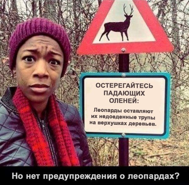 Beware of falling deer perewod.jpg