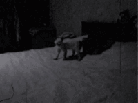 00038te3.gif