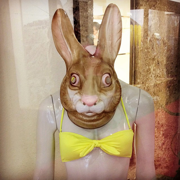 M rabbit.jpg