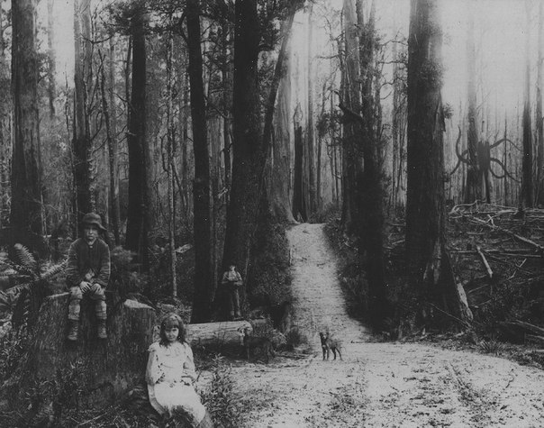 Slender man (37).jpg