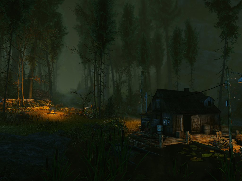 TheCursedForest2.jpg