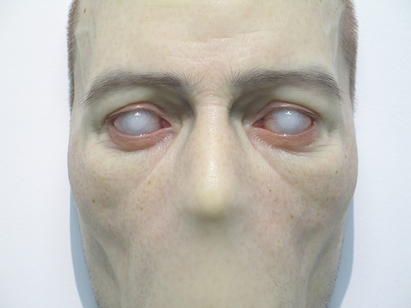 White eyes.jpeg