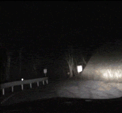 Nogi 2.gif