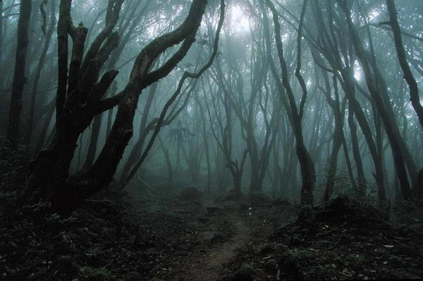 Slender man (12).jpg