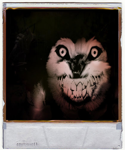 Smiledog re 2.jpg