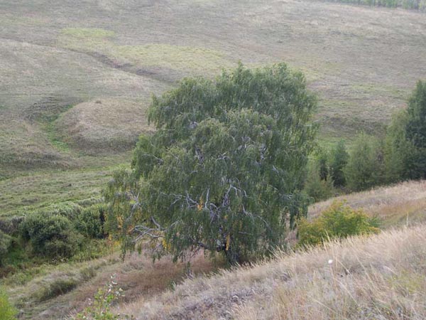 LightningSlope02.jpg