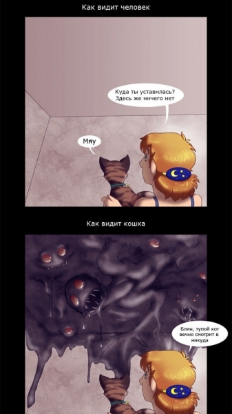 Koshachye zrenie.jpg