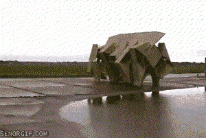 HEX.gif