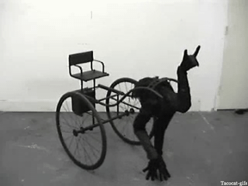 HEX (1).gif