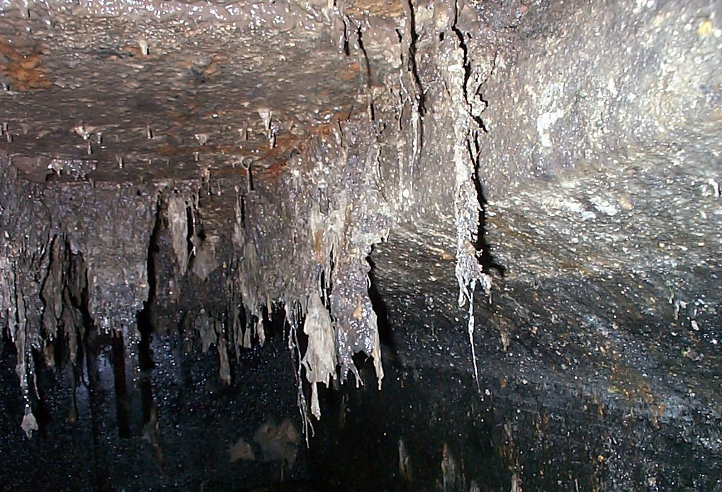 A_peak_inside_a_septic_tank_(3).jpg