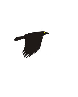 fly7.png