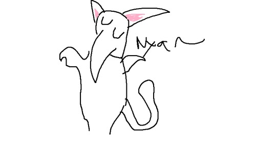 neko