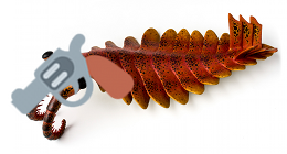 anomalocaris_model_snapchat.png