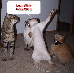 catdanse.jpg