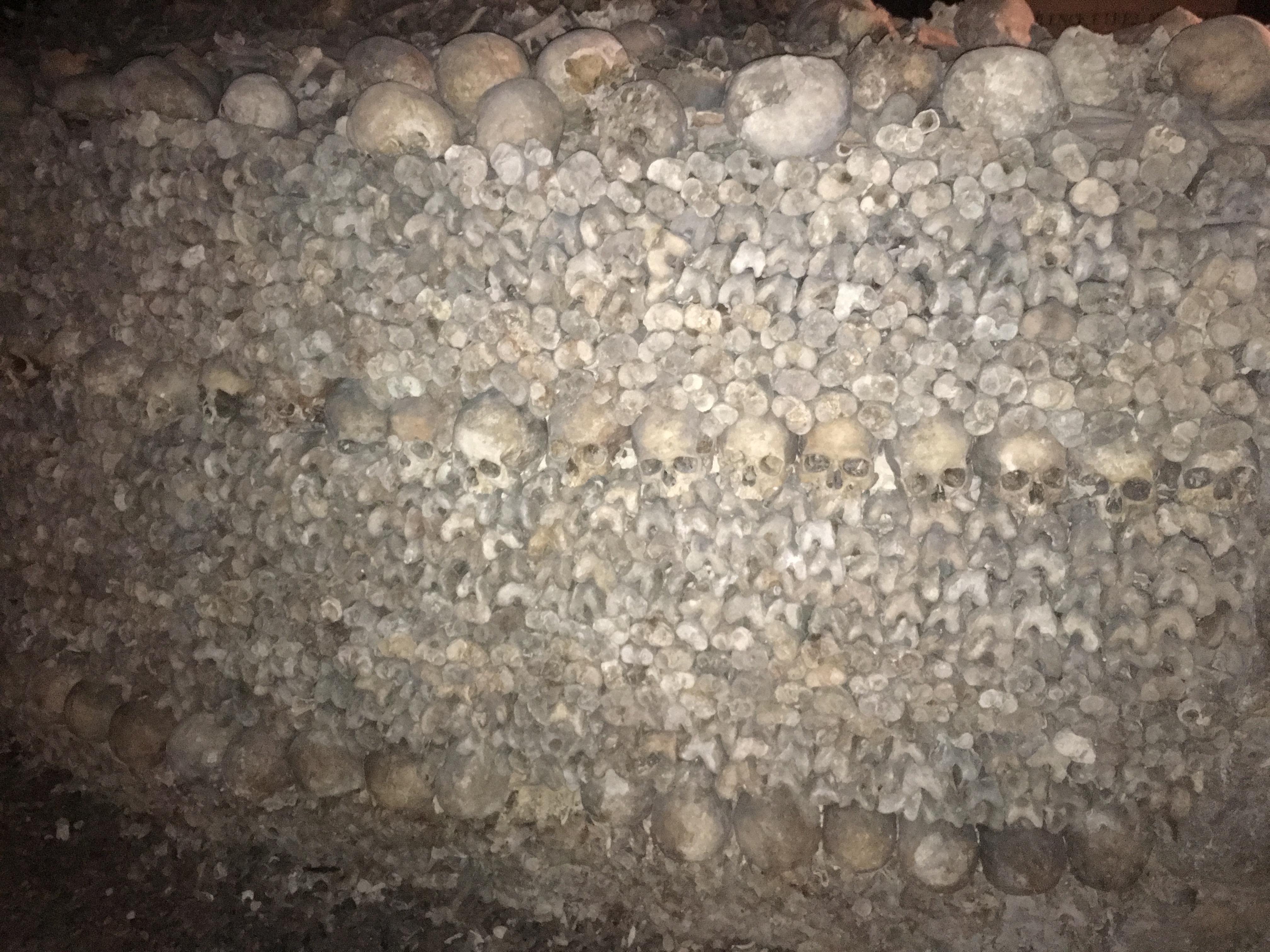 bonewall.JPG