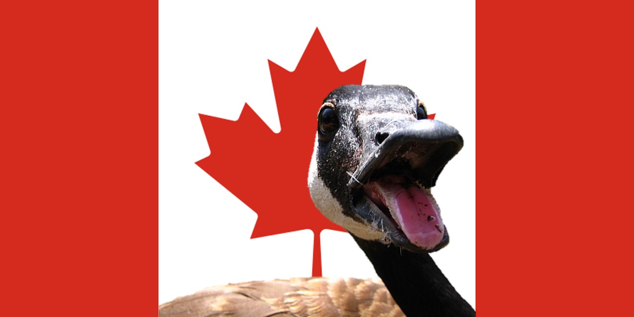 GooseFlag.jpg