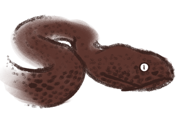 empty2.png