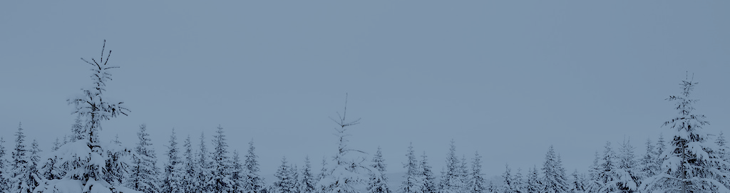 snow.png